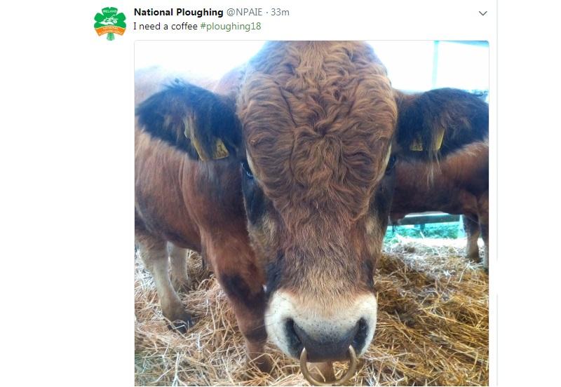 The best Tweets from the first day at the National Ploughing Championships
