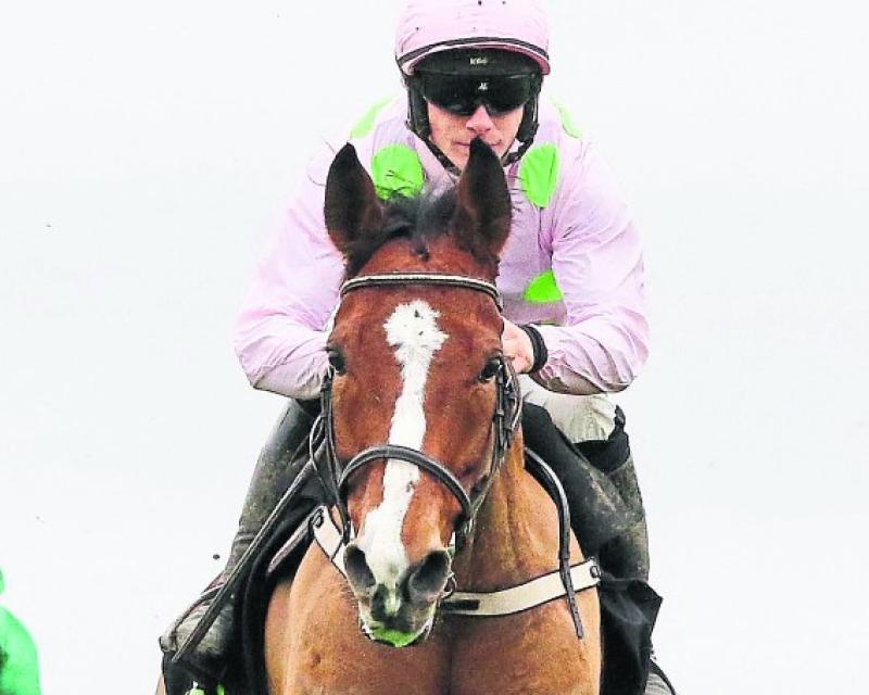 Win tickets for Unibet Morgiana Hurdle meeting at Punchestown