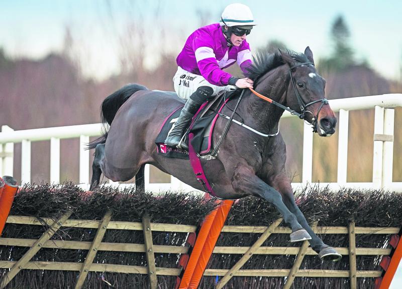Plenty of answers to come at Dublin Racing Festival