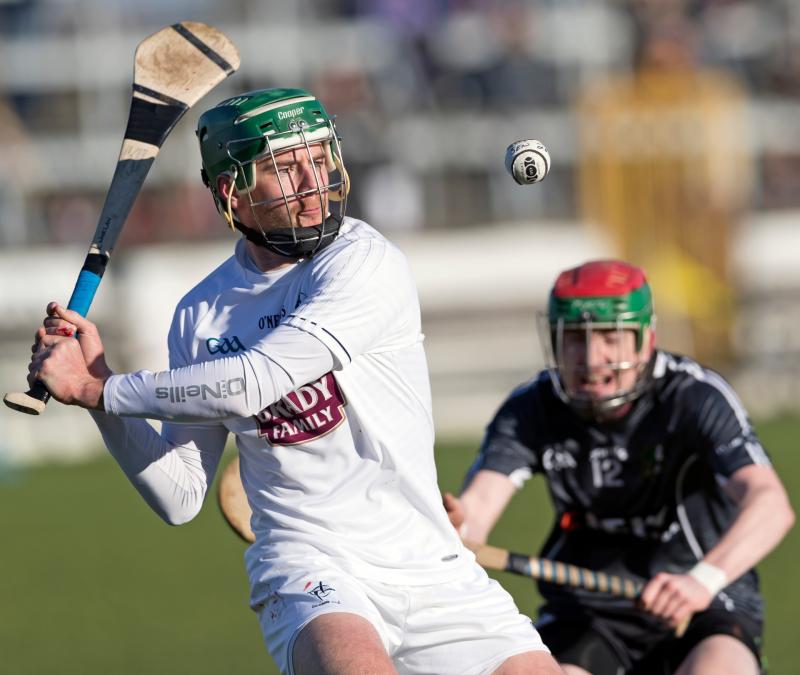 Stroll in the Park for Kildare