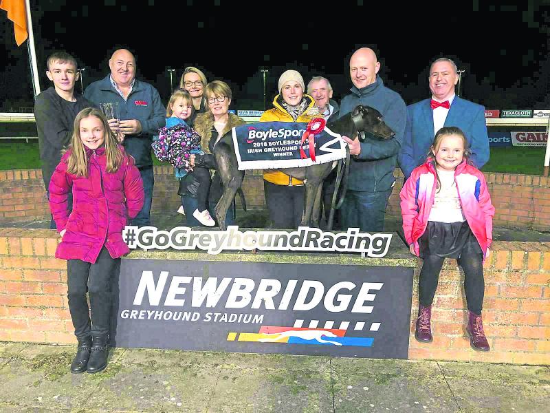 Kildare with many hopes in  €50,000 Ladbrokes Easter Cup