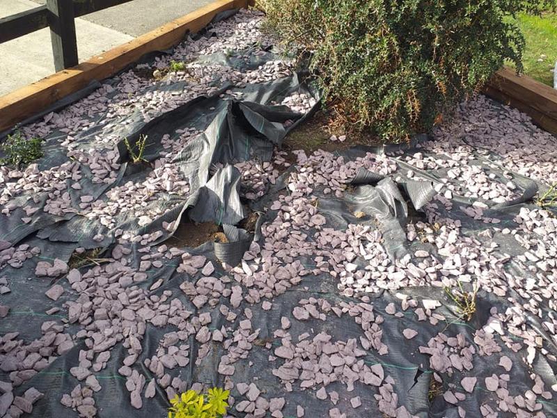 Anger as Naas cancer garden vandalised