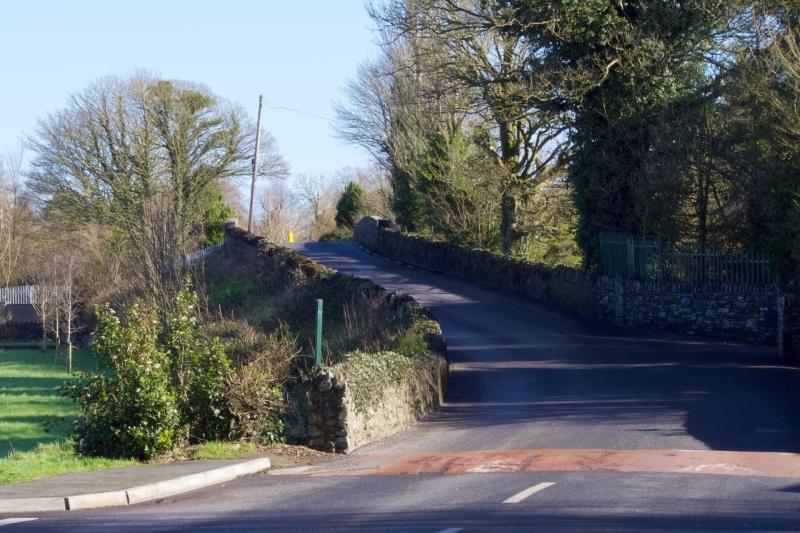 Call for Kildangan bridge safety works to begin
