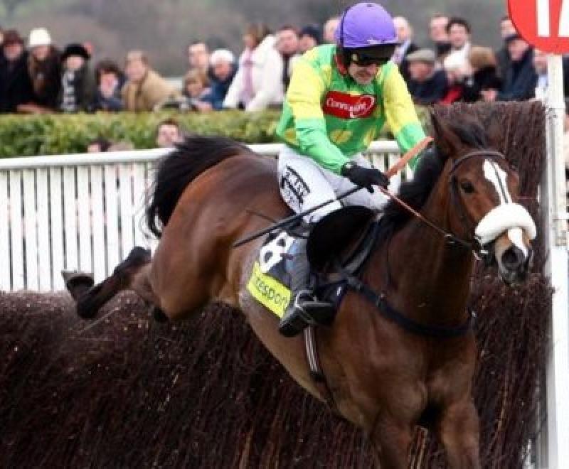 Cheltenham Gold Cup takes its toll on winners, and losers