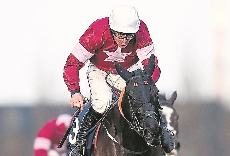Cheltenham: how will the Irish novices fare