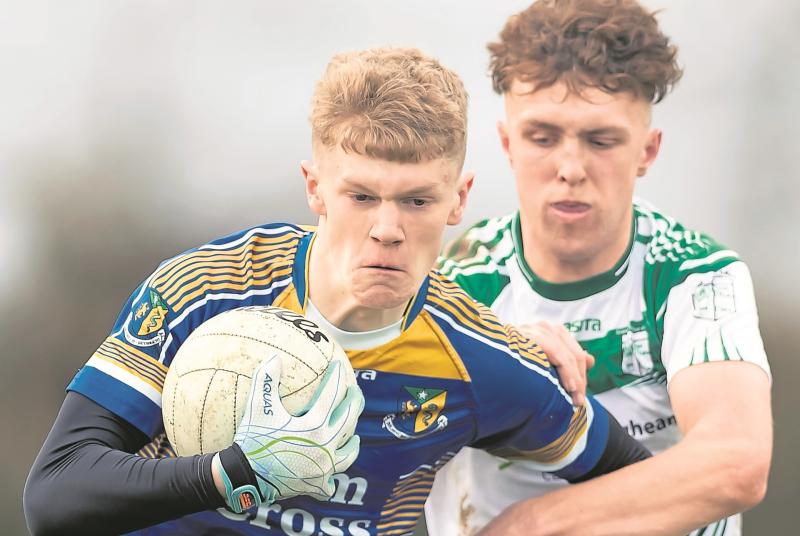 Naas CBS Bosco semi final fixed