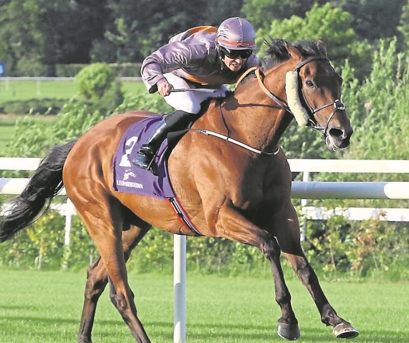 Naas host opening of Flat season this Sunday