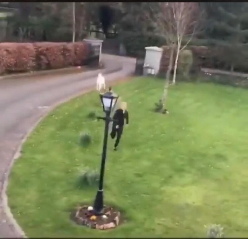 WATCH: 'Just your average day in Donadea' - Goat runs after Kildare girl