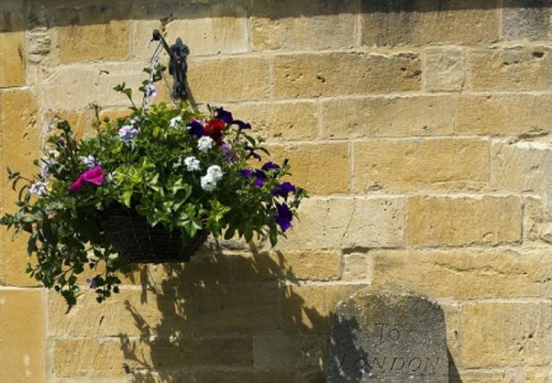 Gardening with James Vaughan:  Patio pots and hanging baskets