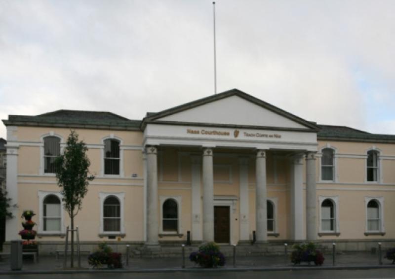 Kildare judge jails brothel pair for nine months