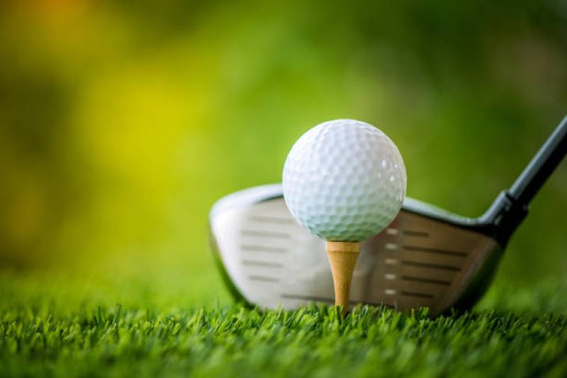 Top lady golfers to compete at Naas