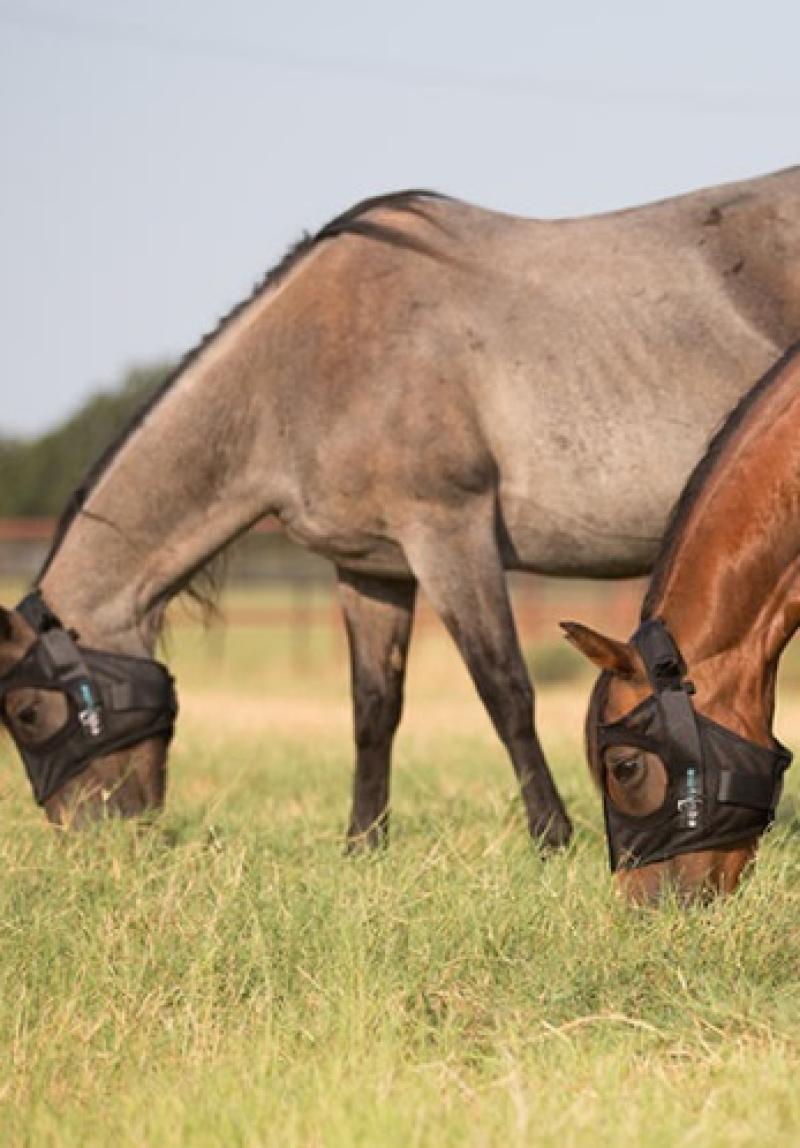 Kildare Biotech Company Announces Expansion of US Sales Team