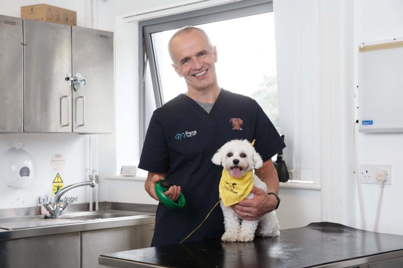 Charity offers free dog microchipping certificate amnesty as part of National Chipping Week 2019
