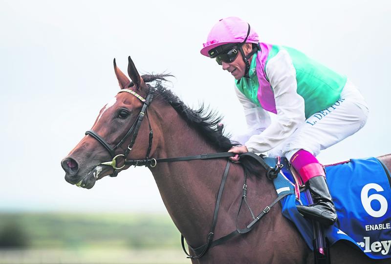 Kildare's Robert Catterson asks: Will the York hot pots deliver this week