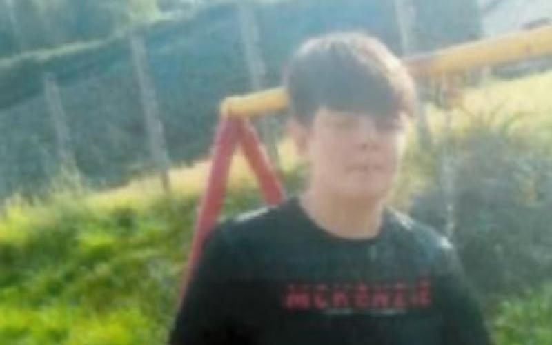Garda&iacute; seek public assistance in finding Wexford youth (13) 
