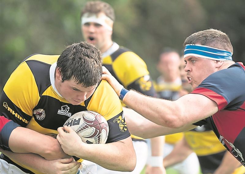 Kildare Rugby: Newbridge go down in League opener