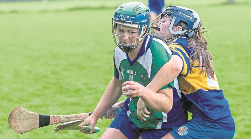 Kildare camogie: Johnstownbridge march on