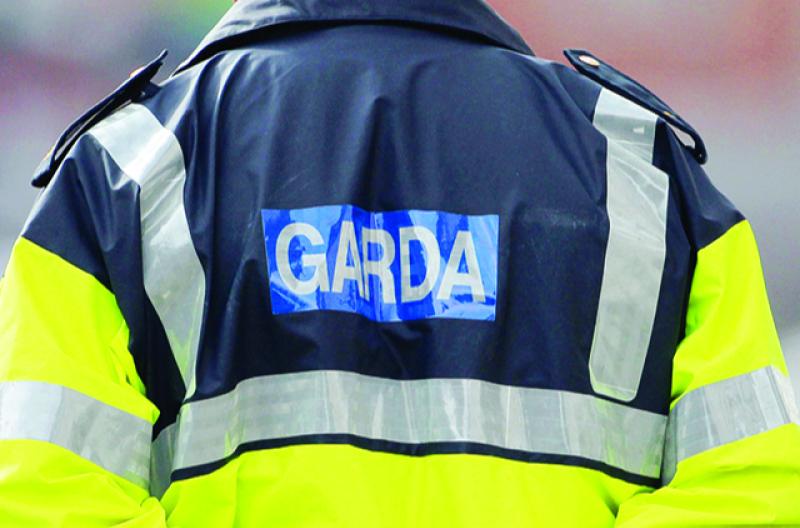 Gardaí are renewing their appeal for information regarding a serious road traffic collision in Kildare