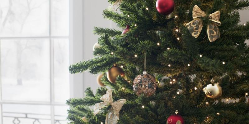 10 Christmas hazards to avoid this festive season