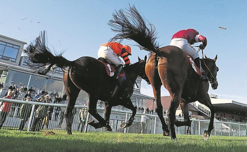 Racing: Punchestown cancelled today