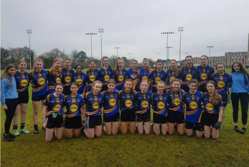 Kildare secondary school lift Leinster title!