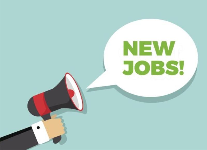 WANTED: Housekeeper / Childminder for home in Newbridge area 