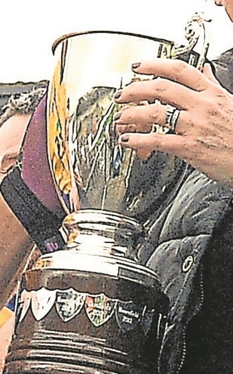 Kildare GAA: Aldridge Cup down to last four