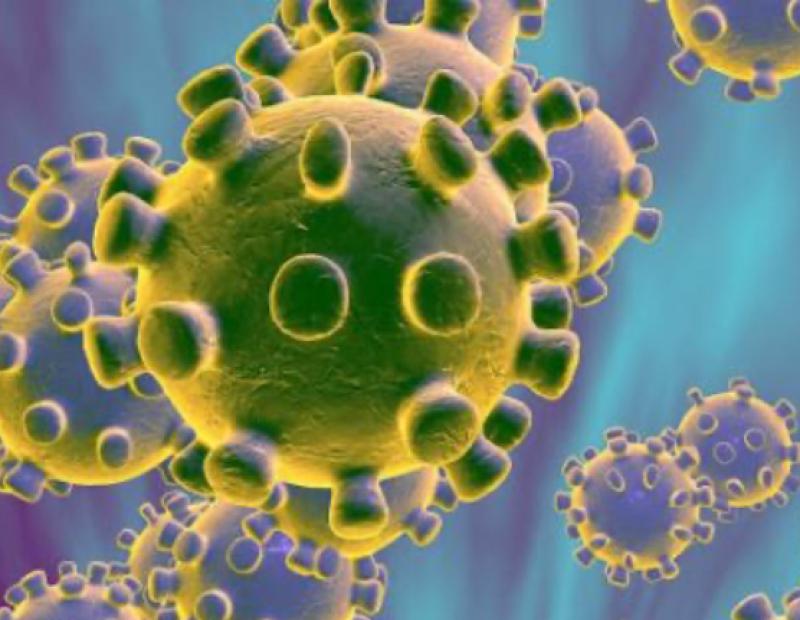 Midlands school students and staff in Coronavirus isolation after trip to Italy