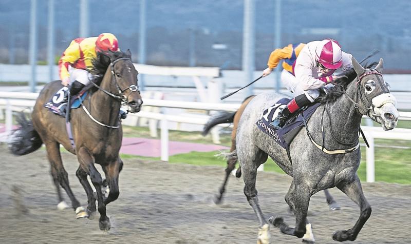 Horse Racing to go ahead, behind closed doors
