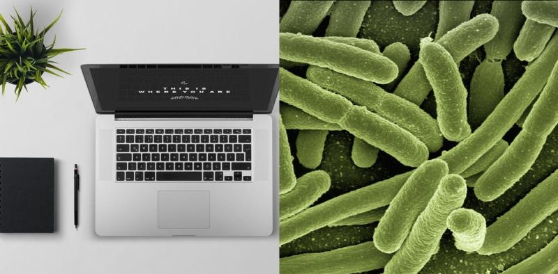 Top tips to help minimise coronavirus spread in the workplace