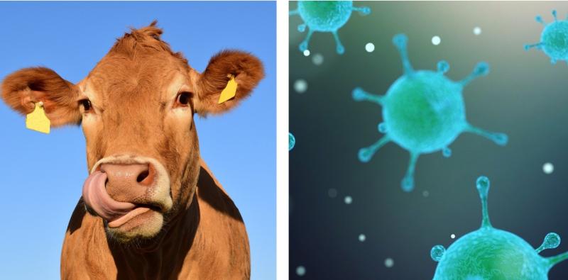 Glanbia Ireland has put in place precautionary measures to protect the farming community