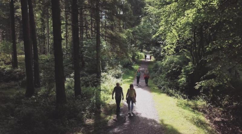 Huge influx of visitors sees closure of Blessington Greenway