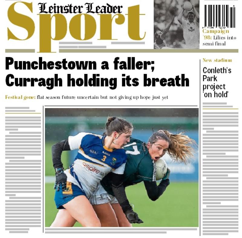In this week's Leinster Leader