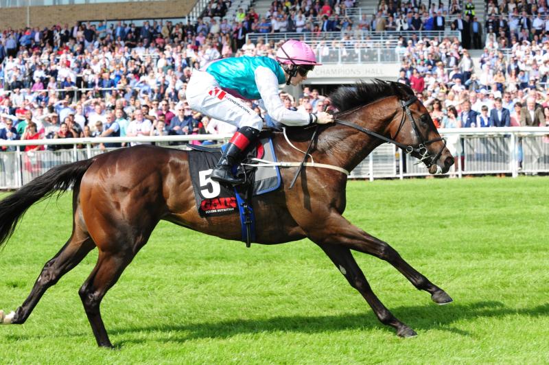 Racing: GAIN sponsorship boost for Curragh
