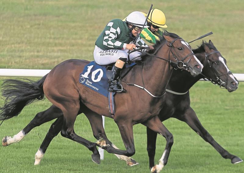 Relief all round as Naas meeting goes off without a hitch