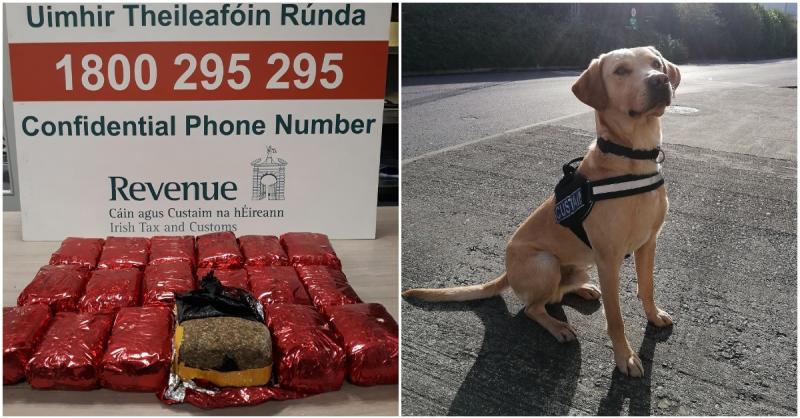 Detector Dog Bailey aids in the seizure of over €470,000 worth of drugs and alcohol