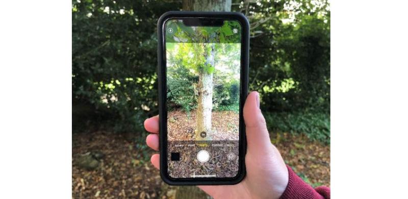 Prizes to  be won - forestry photo competition is launched