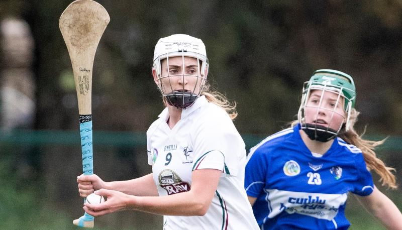 Camogie: Kildare outgunned by Laois in second half