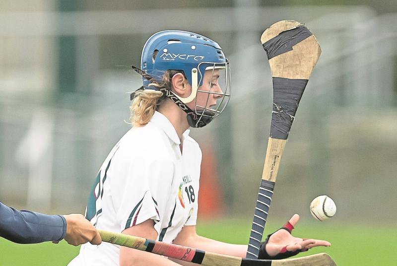 Kildare draw Derry in Intermediate camogie