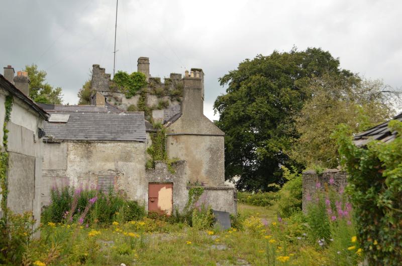 €150,000 for Kildare heritage sites including St David's Castle, Naas; The Four Pots, Grand Canal; and Abbeylands House