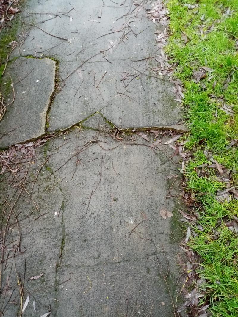 Review of footpaths in Kildare town planned "once funding has been allocated"