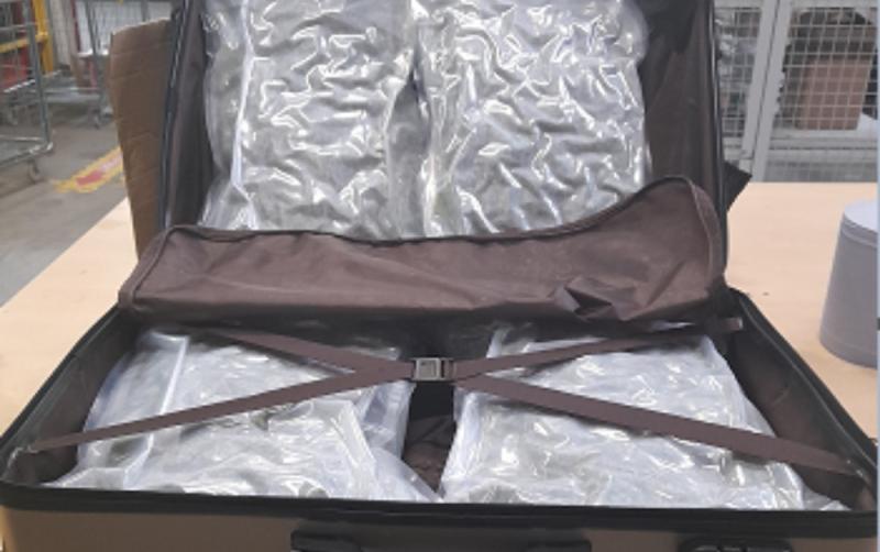 Two people arrested after vehicle search leads to huge cannabis seizure