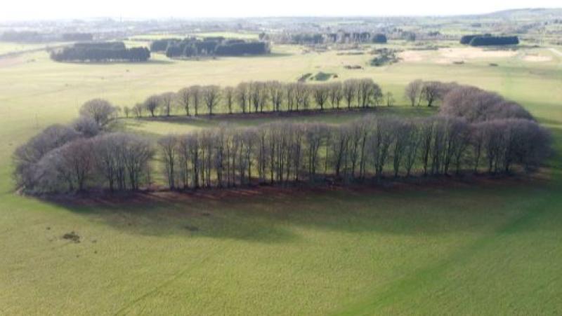 Curragh plains general view