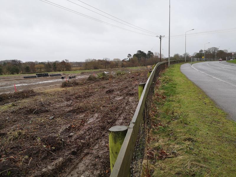 Residents complain about roadside hedge removed in Newbridge 