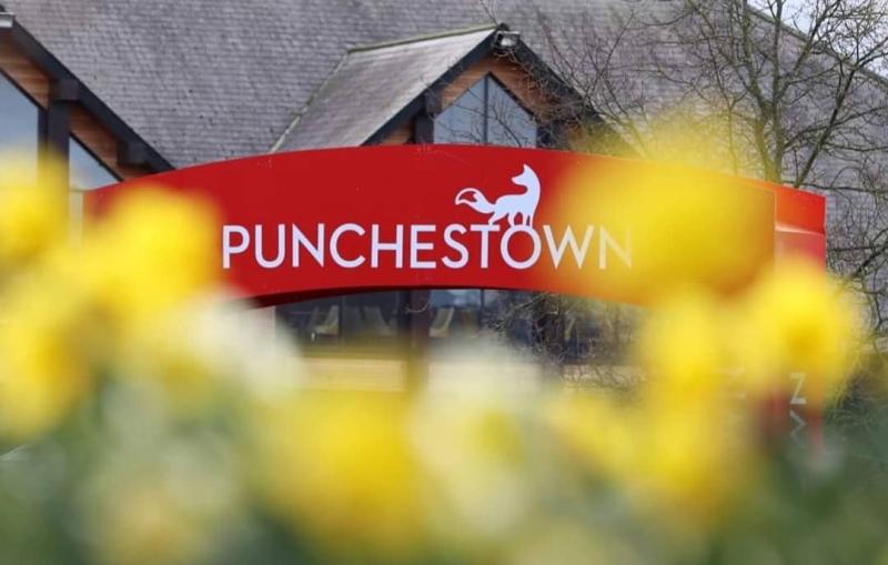 Punchestown Racecourse get's starter's orders for €3m expansion