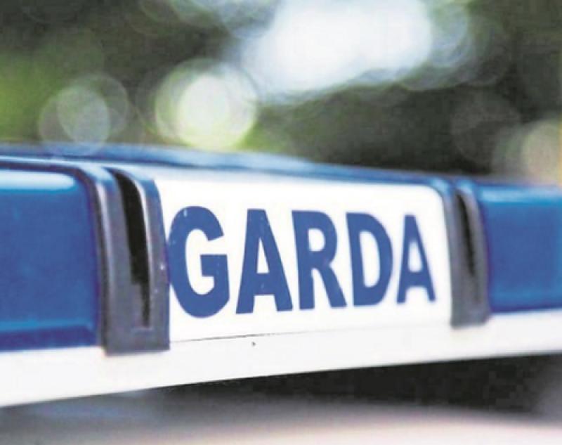 Cars broken into in Naas housing estate