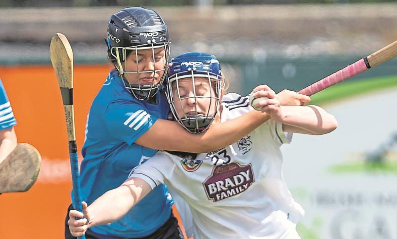 Westmeath are Kildare's camogie opponents this weekend