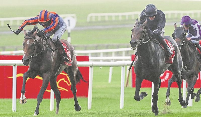 Kildare Racing: Ticket arrangements for Dubai Duty Free Irish Derby released