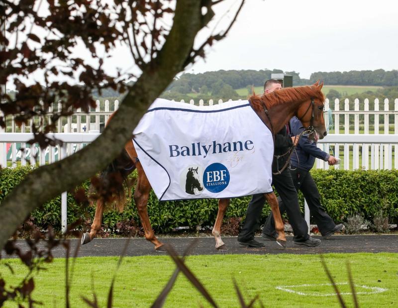 More prize money for August bank holiday race at Naas Racecourse 
