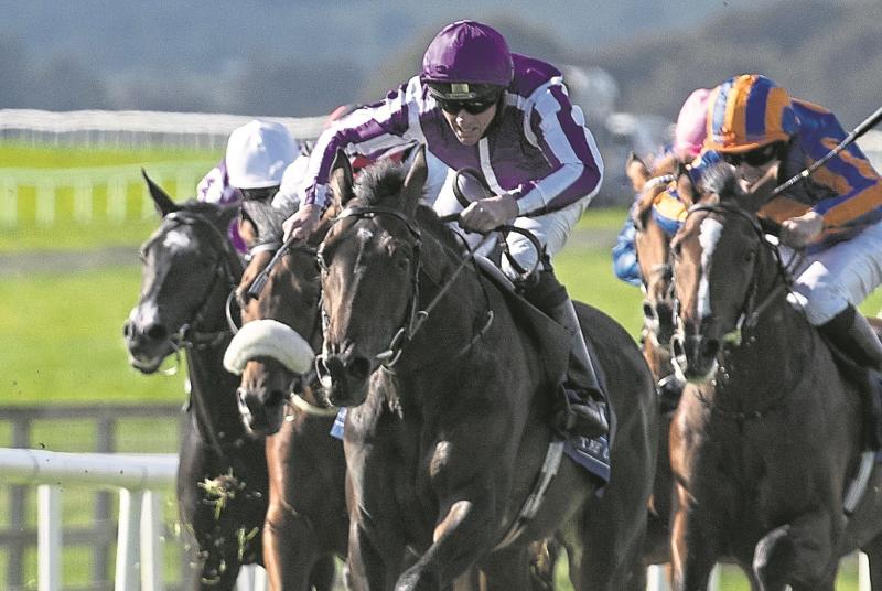 Irish Derby: 17 runners declared